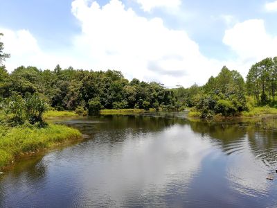 Kirirom National Park Full Day Tour From Phnom Penh